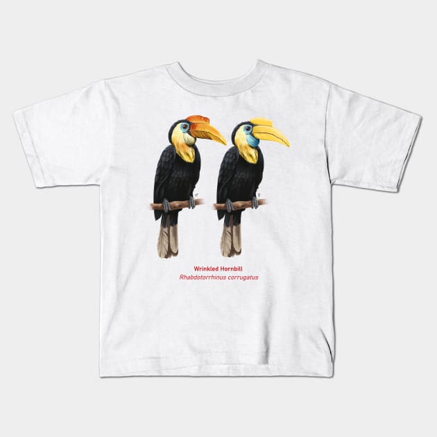Wrinkled hornbill | Rhabdotorrhinus corrugatus ⚥ Kids T-Shirt by bona 
